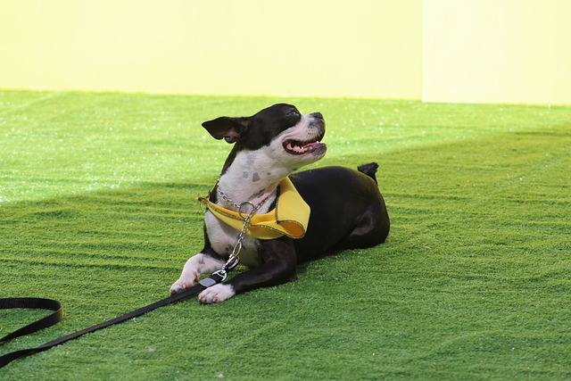 罗那